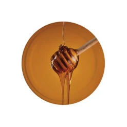 Capsule To63 Cuillère Miel (x100)