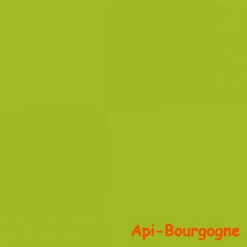 Peinture Végétale 400Gr