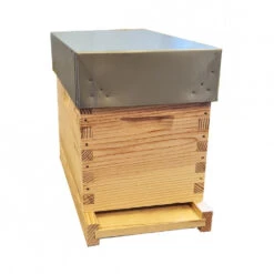 Ruchette Dadant 6 Cadres Tenons Pin