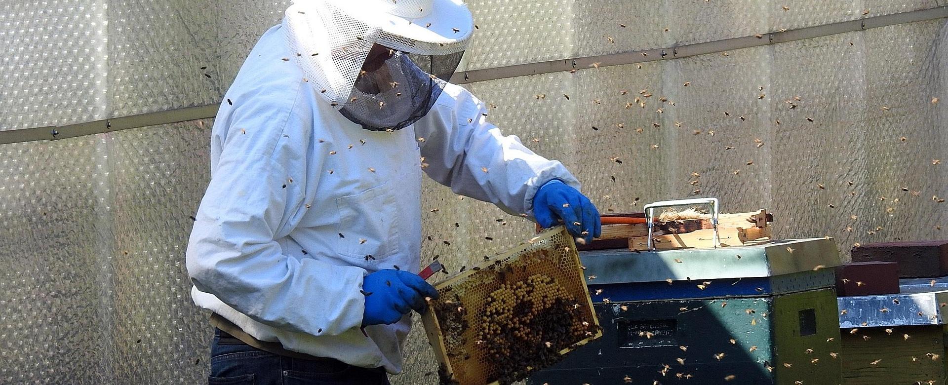 Magasin De Matériel Apicole -Magasin De Matériel Apicole beekeeper 2156663 1920 1